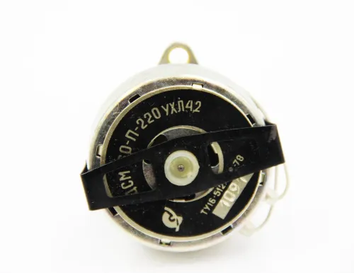 ДСМ-60 электродвигатель тихоходный фото 6